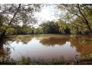 Tract 4 - Stillwater, OK farmland - EXCITING LAND AUCTION! - 128 +/- ACRES OFFERED IN 7 TRACTS OFF HIGHWAY 51 IN STILLWATER, OKLAHOMA